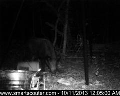 BedandBreakfast-NewFeeder_10112013_5813385.jpg